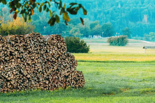 Heap Neatly Stacked Chopped Firewood Stands Farm Backyard Poised Approaching — Stock Photo, Image