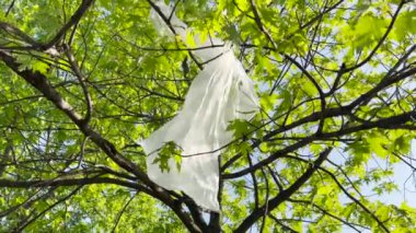 Ağaç dallarında sıkışmış plastik torba, çevresel kirlilik ve hasar, seçici odaklanma
