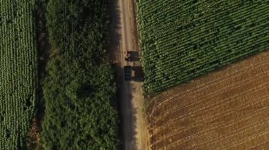Yaz mevsiminde kırsal toprak yolda boş yük vagonu taşıyan tarım traktörü yere gölge düşürüyor İHA pov 'un havadan görüntüsü, tam üstte.