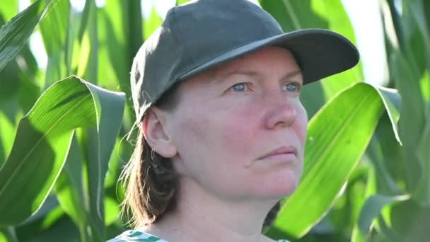 Портрет Женщины Фермера Шляпе Дальнобойщика Стоящей Пышном Зеленом Кукурузном Поле — стоковое видео