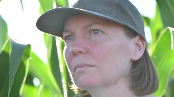 Портрет Женщины Фермера Посевной Кукурузной Поляне Эффектом Блика Объектива Избирательный — стоковое видео