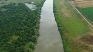 Sırbistan 'ın Voyvodina eyaletinin düzlüklerinde Tamis Nehri' nin hava görüntüsü, insansız hava aracı pov