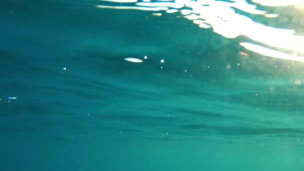 Fotografía Submarina Agua Azul Del Océano Con Luz Solar Brillando — Vídeo de stock