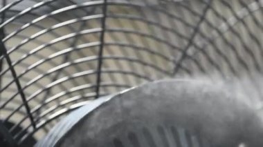 Misting sis sistemi, elektrik vantilatörü ve hava nemlendirici yazın ortamı soğutmak için yüksek basınç altında su püskürtüyor, yavaş çekim seçici bir odaklanma ile kapanıyor.