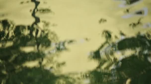 抽象的な背景 選択的な焦点として川の水面の緑の宝石の歪んだ反射 — ストック動画
