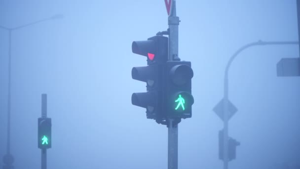 Semaforer Trafikljus Från Grönt Till Rött Dimmig Morgon Selektivt Fokus — Stockvideo
