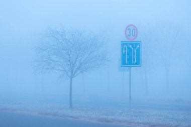 Trafik işaretleri ve sisli kış sabahında yol kenarında yalnız bir ağaç, seçici bir odak noktası.