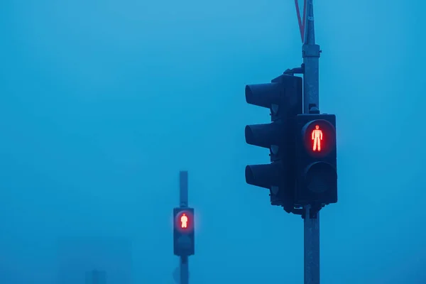 Red Light Pedestrian Traffic Light Signalization Foggy Winter Morning Selective — Stock Photo, Image