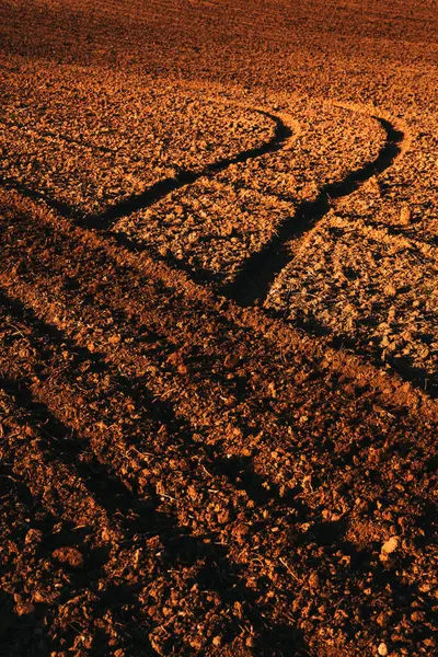 Tarımsal Traktör Lastik Izleri Toprak Zeminde Seçici Odaklı Dikey Görüntü — Stok fotoğraf