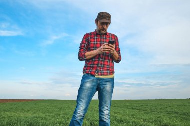 Çiftçi buğday tohumu tarlasında duruyor ve cep telefonu uygulaması kullanıyor, akıllı tarım kavramı, seçici odaklanma