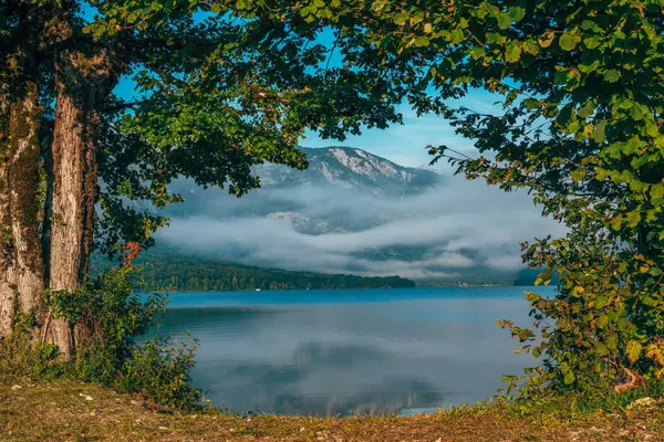 Vakker Naturskjønn Utsikt Innsjøen Bohinj Tåke Sky Sett Mellom Trærne royaltyfrie gratis stockbilder
