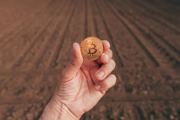 Farmer Holding Bitcoin Cryptocurrency Coin Plowed Field Financial Investment Agricultural Stock Image