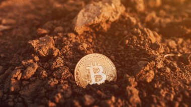 Tarla sürülmüş tarla toprağında Bitcoin, seçici odak