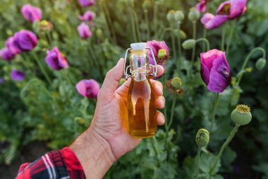 Tarlada bir şişe afyon haşhaşı ya da haşhaş yağı tutan tarım işçisi, seçici bir odak noktası