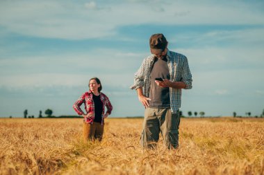 Olgun buğday tarlasında poz veren erkek ve dişi çiftçiler hasat için hazır, seçici bir odaklanma.