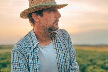 Ekilmiş soya tarlasında duran erkek tarım işçisinin portresi, seçici bir odak noktası.