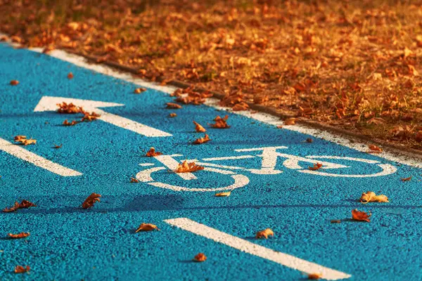 stock image Blue bicycle lane with bike symbol and arrow in park, covered with dry autumn leaves, selective focus