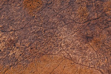 İHA pov 'dan görülen ölü çayırlardaki hayvan pistleri, yukarıdan aşağıya doğru uçan mermiler.