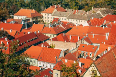 Petrovaradin şehir merkezinin çatıları, Sırbistan 'ın Novi Sad kentindeki ünlü turistik kent merkezinden görüldü. Yüksek açı görünümü.