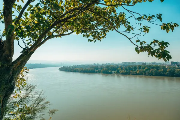 Tuna Nehri üzerindeki Novi Sad 'ın güzel sonbahar şehri Petrovaradin kalesinden görünüyor, seçici bir odak noktası.