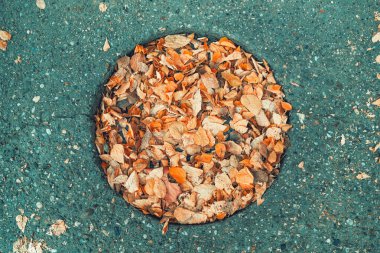 Kuru sarı sonbahar yaprakları yuvarlak şekilli lağım çukurunda, üst manzara.