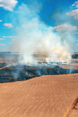 Yazın ekili arazinin yanması, kırsal alanda vahşi ateşin havadan çekilmesi, insansız hava aracının yüksek açılı görüntüsü.