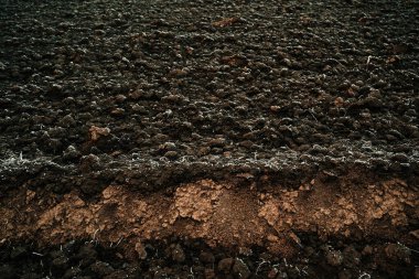 Kışın donmuş tarla toprağı, seçici odaklanma