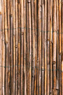 Doğal kamış eskrim, eski kuru kamışların dokusu, dikey görüntü.