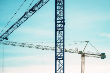 Bölgede iki vinç var, seçici odak