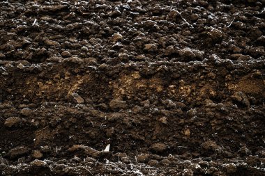 Kışın donmuş tarla toprağı, seçici odaklanma