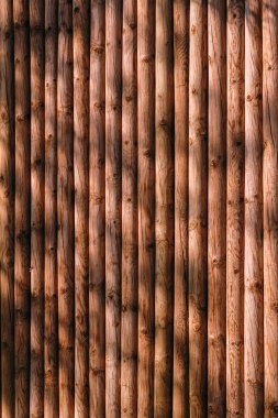 Ahşap kütük çit yapısını antik çağlarda arka plan olarak Kelt köyünün korunması için dikleştirir