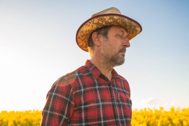 Erkek tarım işçisi bahar günbatımında çiçek açan kanola kolza tohumu tarlasına bakıyor.