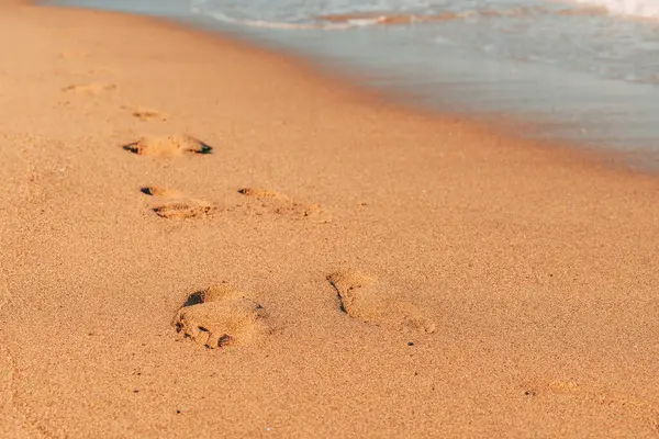 Yaz aylarında ıslak kumsalda ayak sesleri, tatil ve deniz kenarında tatil, seçici odaklanma.