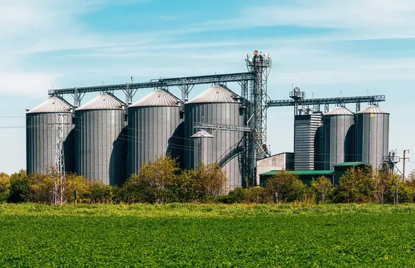 Tarım çiftliğindeki tahıl ambarları, seçici odak
