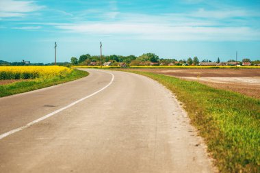 İlkbaharda ekili kolza kanola tarlalarından geçen boş köy yolu, seçici odaklanma