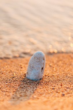 Beyaz taş gün batımında denizin kenarında altın kumda dimdik duruyordu. Seçici odak.