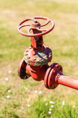 Eski kırmızı dökme demir kapakçık, aşınmış cıvatalar ve soyulan boyalar, güneşli bir günde açık havada çekilmiş, arka planda bulanık çimenler. Seçici odak.