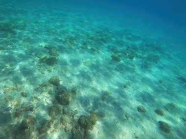 Güneş ışığıyla kayalık bir deniz tabanının temiz sualtı görüntüsü dalgalanmalar ve desenler yaratıyor, sığ tropikal okyanus ortamını sergiliyor. Seçici odak.