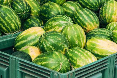 Yunanistan 'ın Halkidiki kentindeki yerel bir pazarda toplanmış taze toplanmış karpuzlar. Seçici odak.