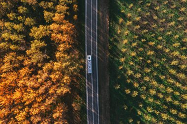 Sonbaharda orman manzarası boyunca giden servis otobüsü İHA pov 'dan aşağıya doğru havadan çekilmiş.