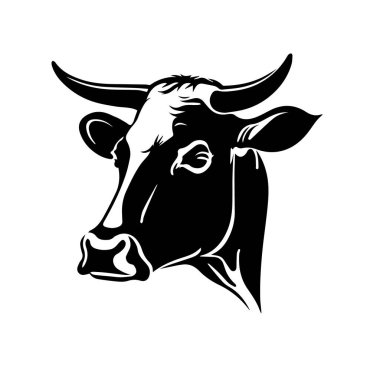 Black angus logo design template. cow, bull farm logo design. Cow, bull vector illustration Vector illustration