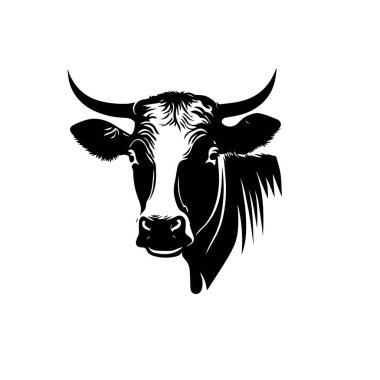 Black angus logo design template. cow, bull farm logo design. Cow, bull vector illustration Vector illustration