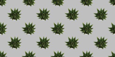 Çiçek saksısında Çok Yeşil Süslü Bitkilerin Kusursuz Dokuları, Görünümün Üzerinde - Gri Arkaplanda Bir Çok Ev Bitkisi Deseni - Mevsimsel Duvar Kağıdı Tasarımı, Düzenlenebilir Vektör Biçiminde Web Şablonu