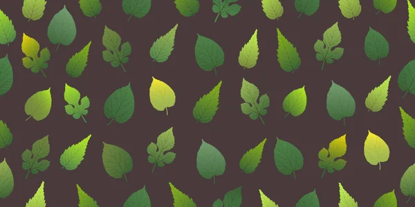 Безшовна Текстура Багатьох Відтінків Зеленого Листя Різних Форм Візерунок Темному — стоковий вектор