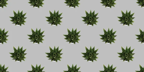 Bezešvé Textury Mnoha Zelených Okrasných Rostlin Květináči Nad Pohled Spousta — Stockový vektor