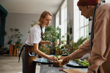 Çiçek atölyesi. Dekoratif taş ve taze yeşil bitkilerden kompozisyon yapan iki genç dekoratör. Çiçekçi dükkanı küçük işletme ve hobi olarak