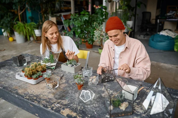 Счастливый Флорист Создает Креативную Композицию Сочных Растений Камней Ботаническом Магазине — стоковое фото