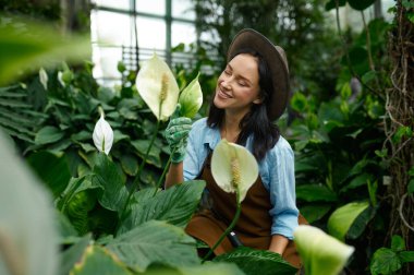 Portrait of young woman gardener admiring blooming callas growth in greenhouse. Planting and gardening hobby concept