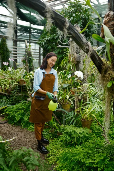 Young Woman Gardener Spraying Water Plants Leaves Fast Growth Working — Zdjęcie stockowe