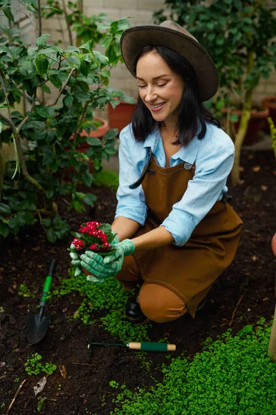 Portrait Attractive Young Woman Florist Showing Beautiful Flowerpot Camera Garden — Stock Photo, Image
